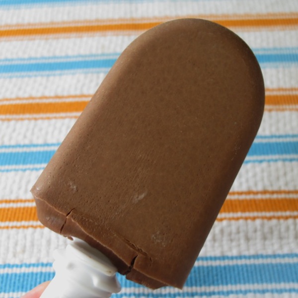 Making Classic Fudge Pops with the Zoku Quick Pop Maker – Erin Cooks