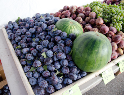 Italian Prune Plums