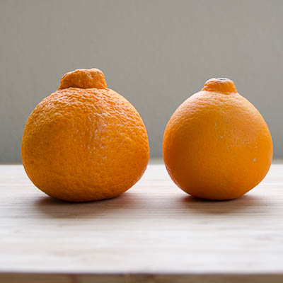 Dietitian column: Sumo mandarins pack a vitamin punch