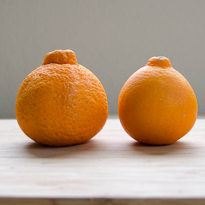 Fruit of the Week! The Sumo Orange - The Art of Doing Stuff