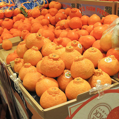 http://dailywaffle.com/wp-content/uploads/2012/02/sumo-citrus-at-whole-foods-1.jpg