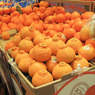 Sumo Citrus… Not an Orange