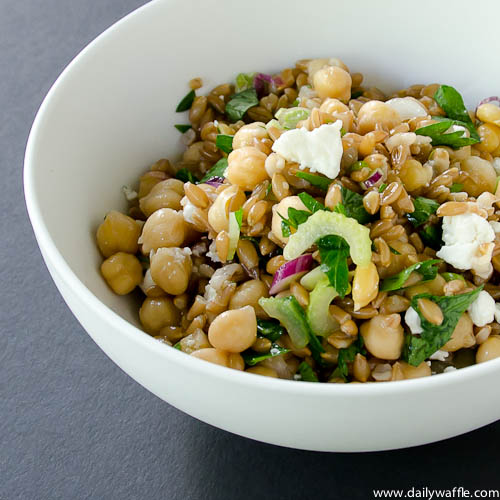ceci and farro salad sq 500