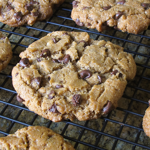 gluten-free peanut butter chocolate chip