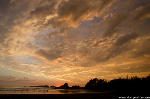 What I Did on Summer Vacation, Part 1: Tofino, BC Edition - DailyWaffle