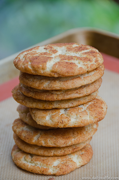 betty's but better snickerdoodles dailywaffle