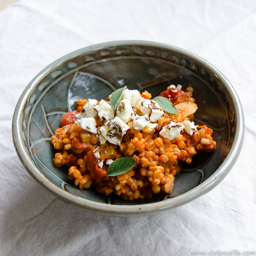 jerusalem barley risotto |dailywaffle