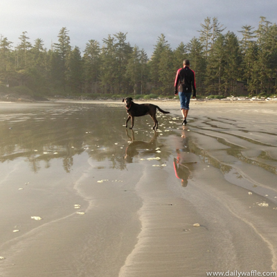 Ya comin Cox Bay Tofino BC| dailywaffle