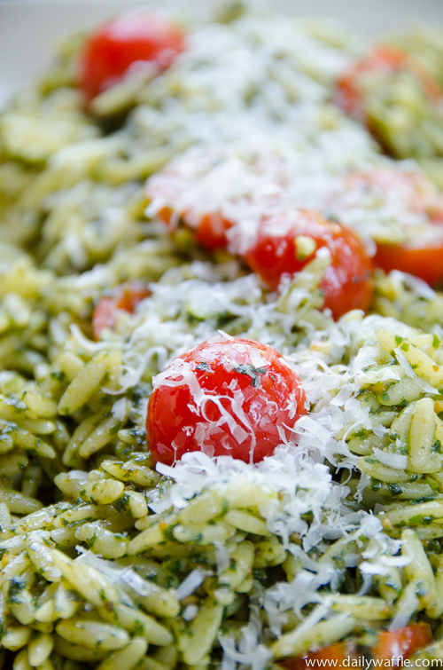 basil pesto orzo salad |dailywaffle