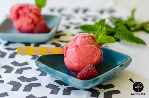 Raspberry Mint Sorbet | dailywaffle