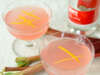 Rhubarb Apple Vodka Collins Featuring Dry Sparkling Fuji Apple