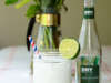 The Cocorano – Coconut Gin Fizz with Dry Sparkling Serrano Pepper