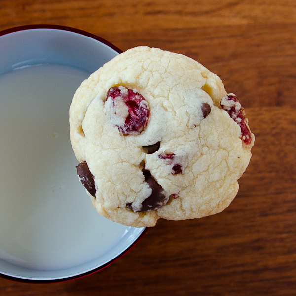 cranberry chocolate chip butter cookies