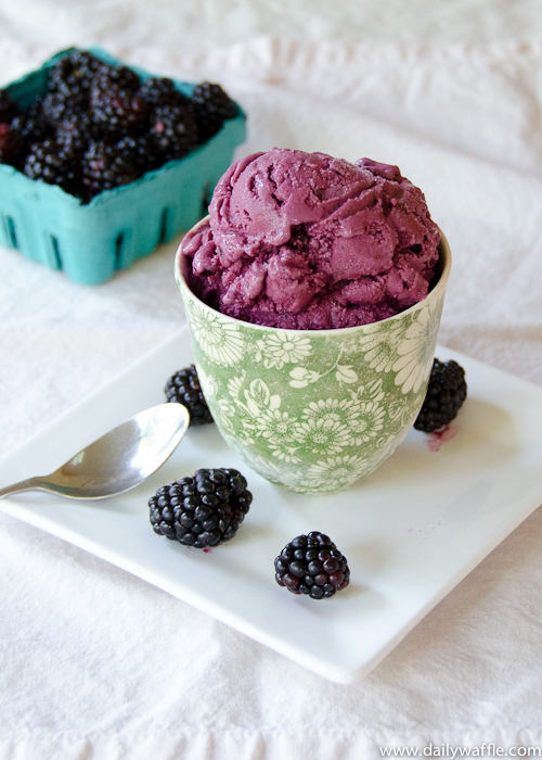 A scoop of blackberry frozen yogurt with a basket of blackberries behind it. One of my favorite summer berry desserts.