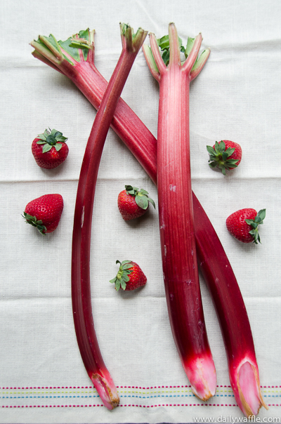 strawberry and rhubarb | dailywaffle