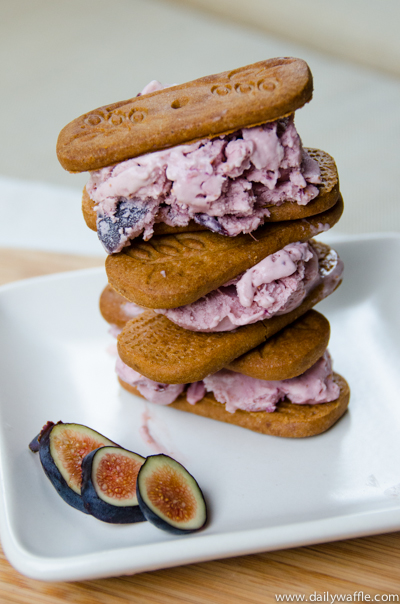 fig ice cream sandwiches speculoos cookies | dailywaffle