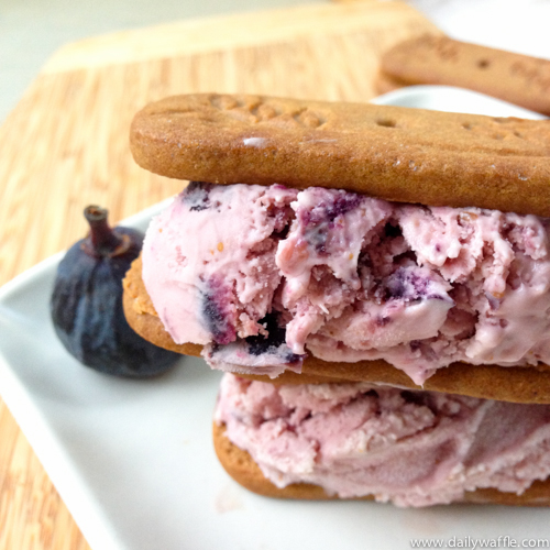 fig ice cream sandwiches with speculoos cookies | dailywaffle