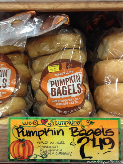 pumpkins bagels | dailywaffle