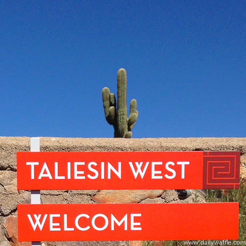 taliesin west sign| dailywaffle