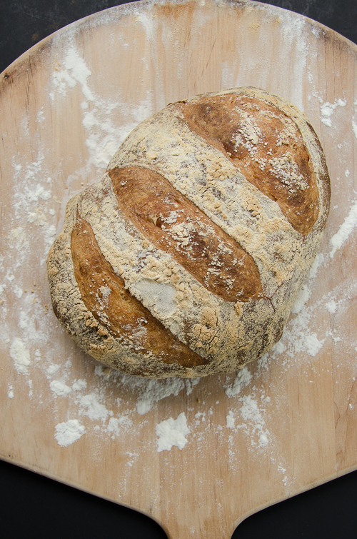 artisan bread in 5 | dailywaffle
