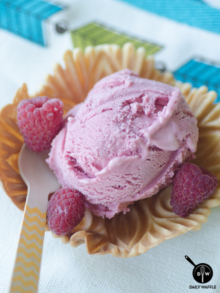 Only 8 Years: Pizzelle & Raspberry Gelato - DailyWaffle