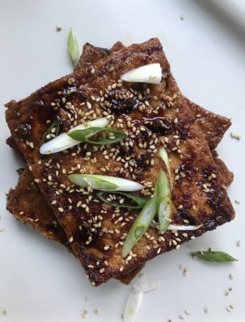soy braised tofu