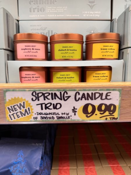 Trader Joe's Spring Candle Trio in Raspberry and Roses, Rhubarb and Bamboo, and Lemon Verbena.