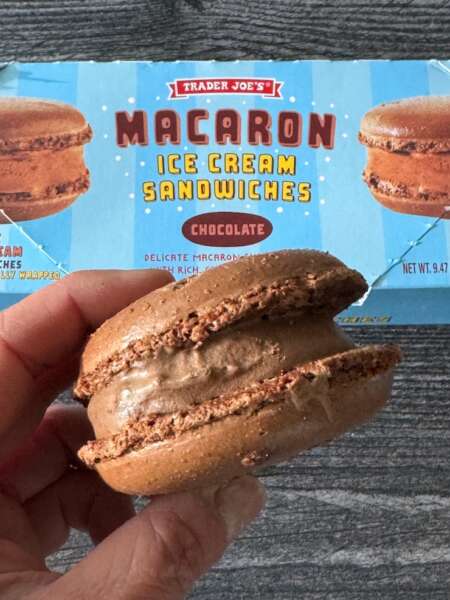 Trader Joe's Chocolate Macaron Ice Cream Sandwich in front of the box.