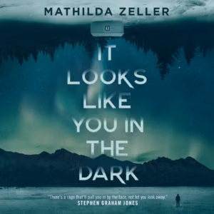 It Looks Like You in the Dark Audiobook Cover with a blue green Arctic scene with trees