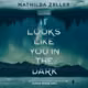 It Looks Like You in the Dark Audiobook Cover with a blue green Arctic scene with trees